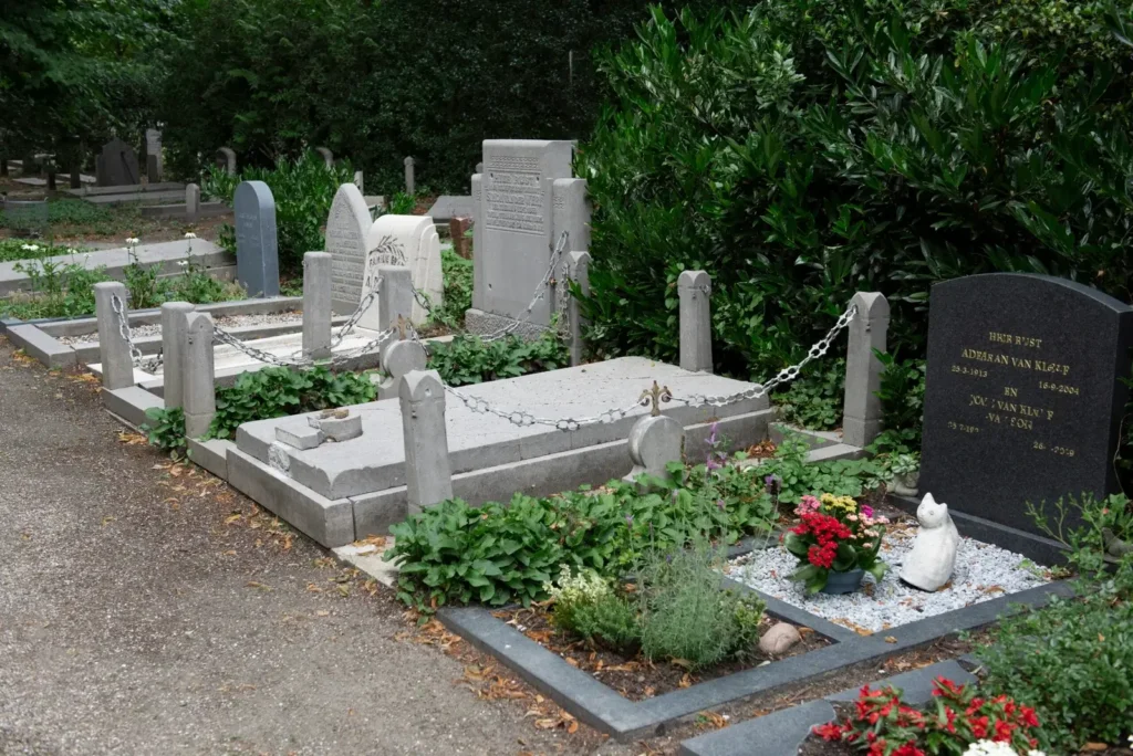 Rows of graveyard